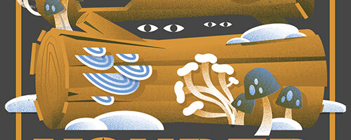 Yonder Mountain String Band