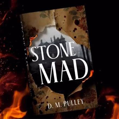 Stone Mad Book